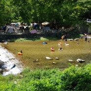 2019년 전북 장수 방화동 자연휴양림에서의 여름휴가의 추억, 조카들과 함께 즐긴 캠핑과 물놀이 여행기
