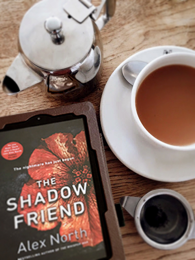 [원서추천] 'Alex North'의 신간 'The Shadow Friend' #원서리뷰 #스릴러 : 네이버 블로그