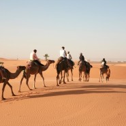 [1년 전 오늘] 모로코 여행기 여덟 번째(페스에서 메르주가로 출발-사하라 사막)