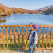 [아이와여행 | 파주가볼만한곳] 가을 정취에 흠뻑🍂 파주 마장호수 출렁다리