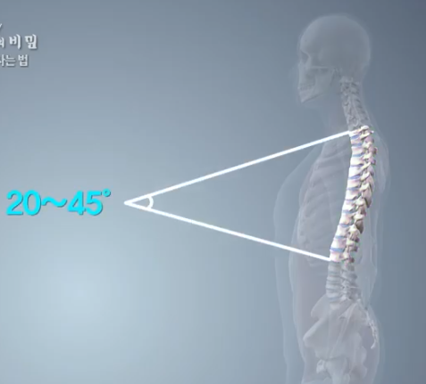 우리는 요추 전만을 정확히 알고 있을까... 흉추와 요추 경계면의 정상 각도는 37° : 네이버 블로그