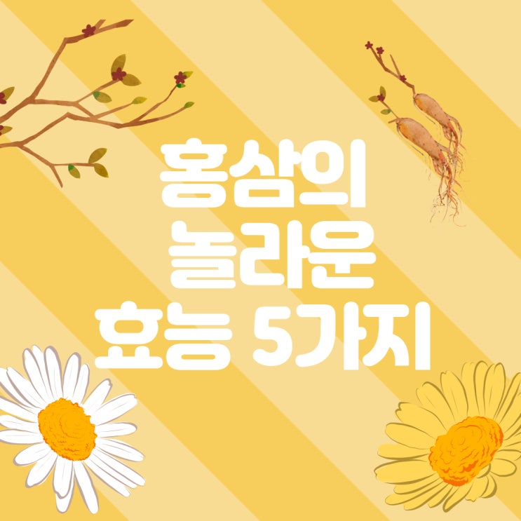 ê¹€ì •í™˜í™ì‚¼ í™ì‚¼ì˜ ë†€ë¼ìš´ íš¨ëŠ¥ 5ê°€ì§€ ë„¤ì´ë²„ ë¸