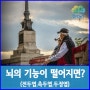 알츠하이머 치매로 뇌의 기능이 떨어지면 어떤 증상이 나타날까? (전두엽,측두엽,두정엽)