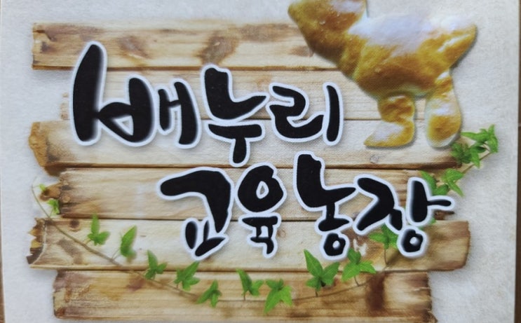 사천ㅡ 배누리교육농장 ㅡ 20년10월7일