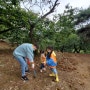 공주 알밤줍기체험 아이들과 좋은추억만들기(말재농원)