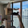 수직공간이 필요한 고양이들의 필수품인 캣타워! 가또블랑코에서 캣폴(캣타워)를 구입하다