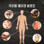 건강 유지 비법 먹는 저분자 콜라겐 펩타이드 효능 및 섭취 선택 시 주의사항은