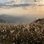 억새바람 부는 영남알프스 태극종주 (50km~)