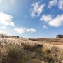 가을날 억새의 절경을 만날 수 있는 합천 황매산 군립공원