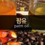 팜유 palm oil
