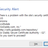 RAD Studio(Delphi) Security Alert Warning
