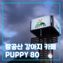 팔공산 강아지 카페 _ 퍼피80 방문 후기 (PUPPY 80)
