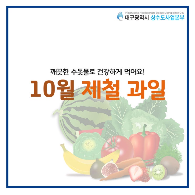 10월 제철 과일을 소개합니다! : 네이버 블로그