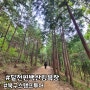 [울산/북구] 울산 북구 스탬프투어 #1.달천 편백산림욕장