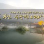 충북/괴산/가볼만한곳/문광지/은행나무길