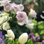 수성구꽃집 예쁜 꽃들이 많은 까사플라워마켓