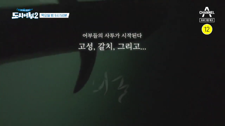 도시어부2 재방송 43회 다시보기 시청률 게스트 이주연 고성, 갈치, 그리고 괴물.