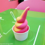 성산일출봉 맛집 캘리소프트서브 아이스크림