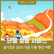 슬기로운 2020 가을 단풍 여행, '단풍 실황 서비스'로 언택트 랜선 여행 즐기세요!