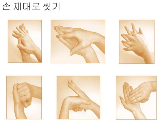 올바른 손 씻기 중요성과 마음까지 씻어주는 손 씻기 : 네이버 블로그