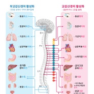 [춘천 자율신경실조증 한의원] 자율신경실조증도 한의원에서 치료할 수 있나요?