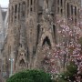 스페인 가우디성당 혼자 구경하기 사그라다파밀리아 성당