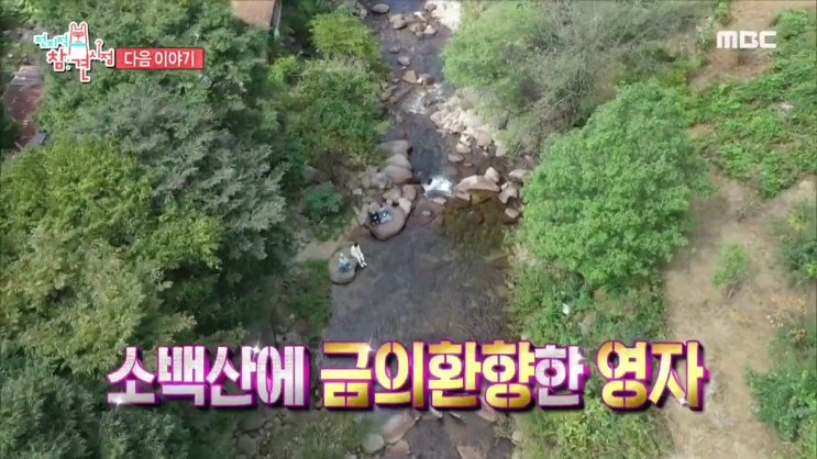 전지적 참견 시점 재방송 126회 전참시 다시보기 시청률 함연지 이영자 전현무 유병재