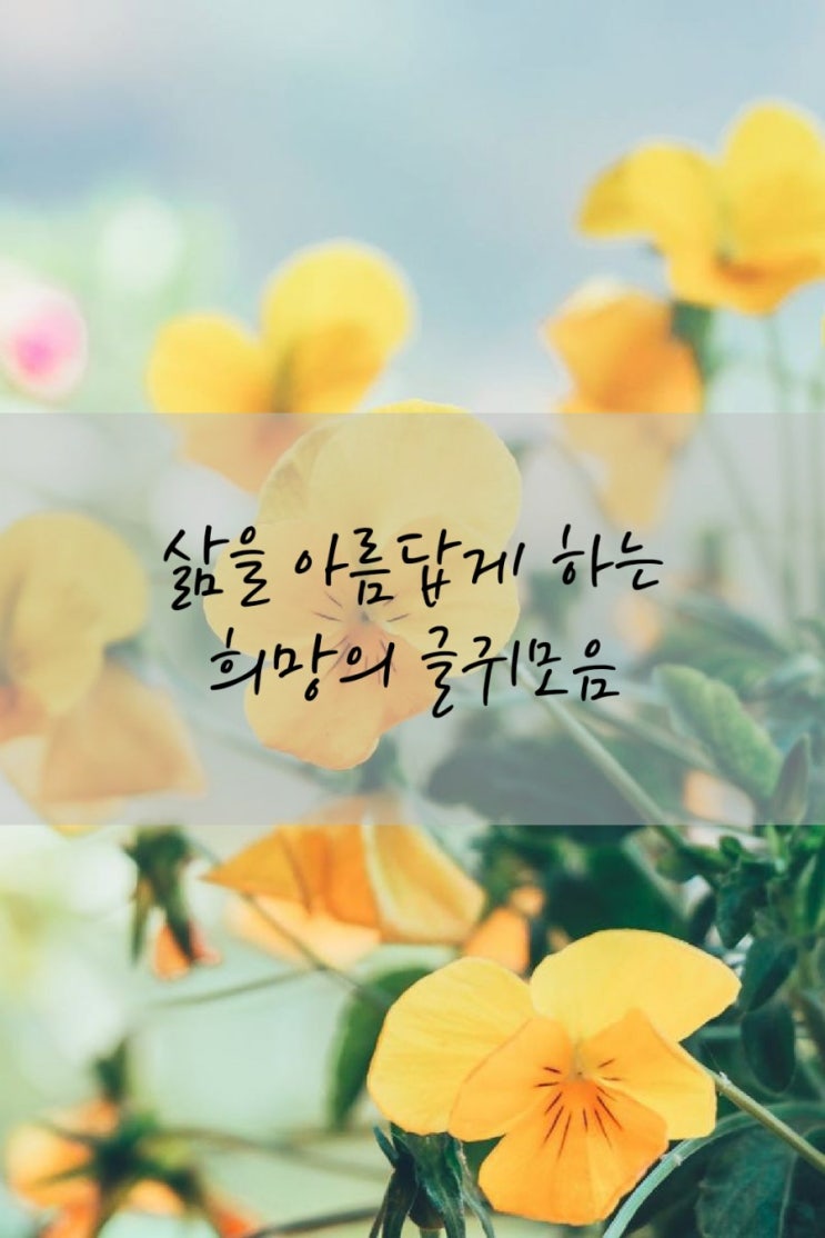 희망의 좋은글/ 내삶을 아름답게 하는 짧고 좋은 글귀모음 : 네이버 블로그