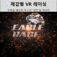 Eagle Race (체감형 VR 레이싱)