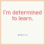I'm determined to learn. 망설임 끝에 배우기로 결심했다면 쓸 수 있는 말 [엄마 영어 Day19]