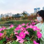 [부산] 부산시민공원에도 가을이 찾아왔어요~ :)