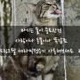 반려동물에게 안전한 정수기를 찾는다면? 드링크웰 세라믹 정수기