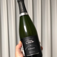 뱅상꾸슈 엘레강스 브뤼 NV. Vincent couche Elegance Brut NV, 네추럴와인추천, 내추럴와인추천, 네추럴샴페인, 샴페인추천