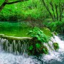 [크로아티아 여행] 안구정화 초록 사진전 - 요정의 숲, 폴리트비체 국립공원 2 (Plitvice Lakes, Croatia)