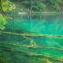 [크로아티아] 풍경 맛집 여행 - 요정의 숲, 폴리트비체 국립공원 3번째 (Plitvice Lakes, Croatia)