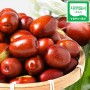 싱그린팜 보은 햇 생대추 구매해야 하는 이유? 사과 대추보다 맛있는 보은대추 가격