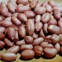 [땅콩 여주땅콩] 2020년 여주 고소한 햇 땅콩 볶음땅콩 판매