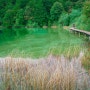 [크로아티아] 풍경 맛집 여행 - 요정의 숲, 폴리트비체 국립공원 1(Plitvice Lakes, Croatia)