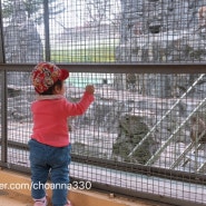 D+333 10개월아기 생애 첫 동물원 나들이 (과천 서울대공원 동물원 어린이동물원)