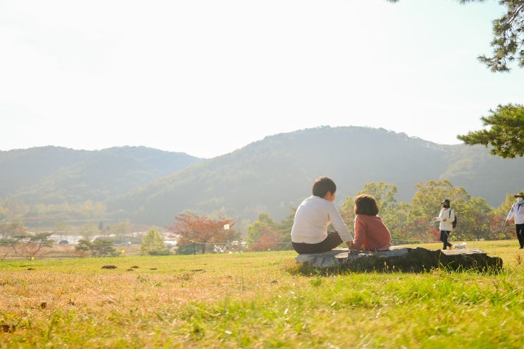 경주 화랑의 언덕 피크닉 힐링 그자체 네이버 블로그