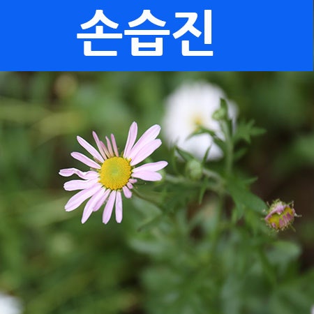 손 습진 - 염증 수포 이해!! : 네이버 블로그