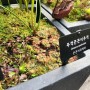식충식물 파리지옥 끈끈이주걱 네펜데스 찾아 서울 마곡식물원 방문