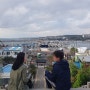 포항여행-구룡포 일본인가옥거리(동백꽃필무렵 촬영지), 호미곶