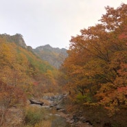 청송 주왕산 🍁