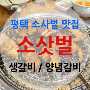 평택 맛집 ) 돼지갈비가 맛있는 소사벌 맛집 소삿벌