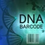DNA 바코드(DNA Barcode), 과연 무엇일까요?