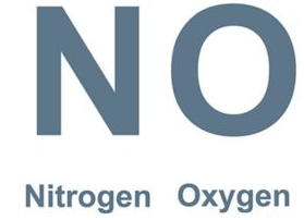 [간호사 심화: NO(Nitric Oxide,일산화 질소)]NO gas Therapy : 네이버 블로그
