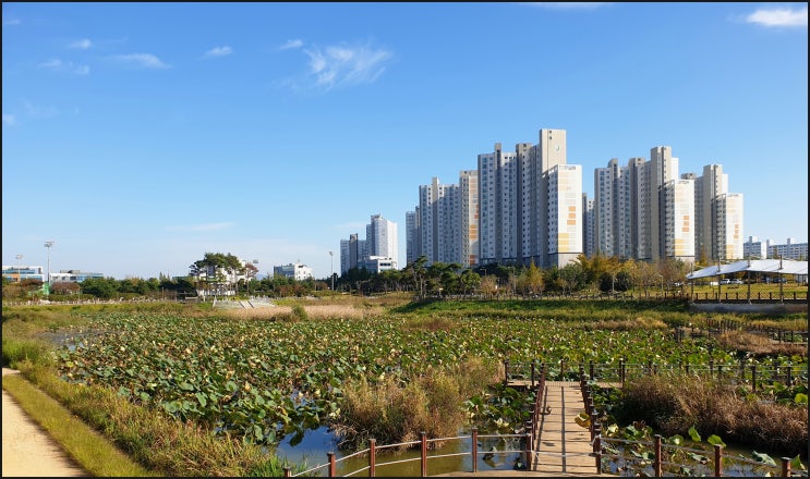 도심 속의 호수 공원 "이서 지사울 공원"