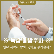 독감 예방주사…잇단 사망자 발생! 독감주사 부작용, 맞아도 괜찮을까?