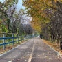 가을 여행 춘천 문학공원 편안한 산책길